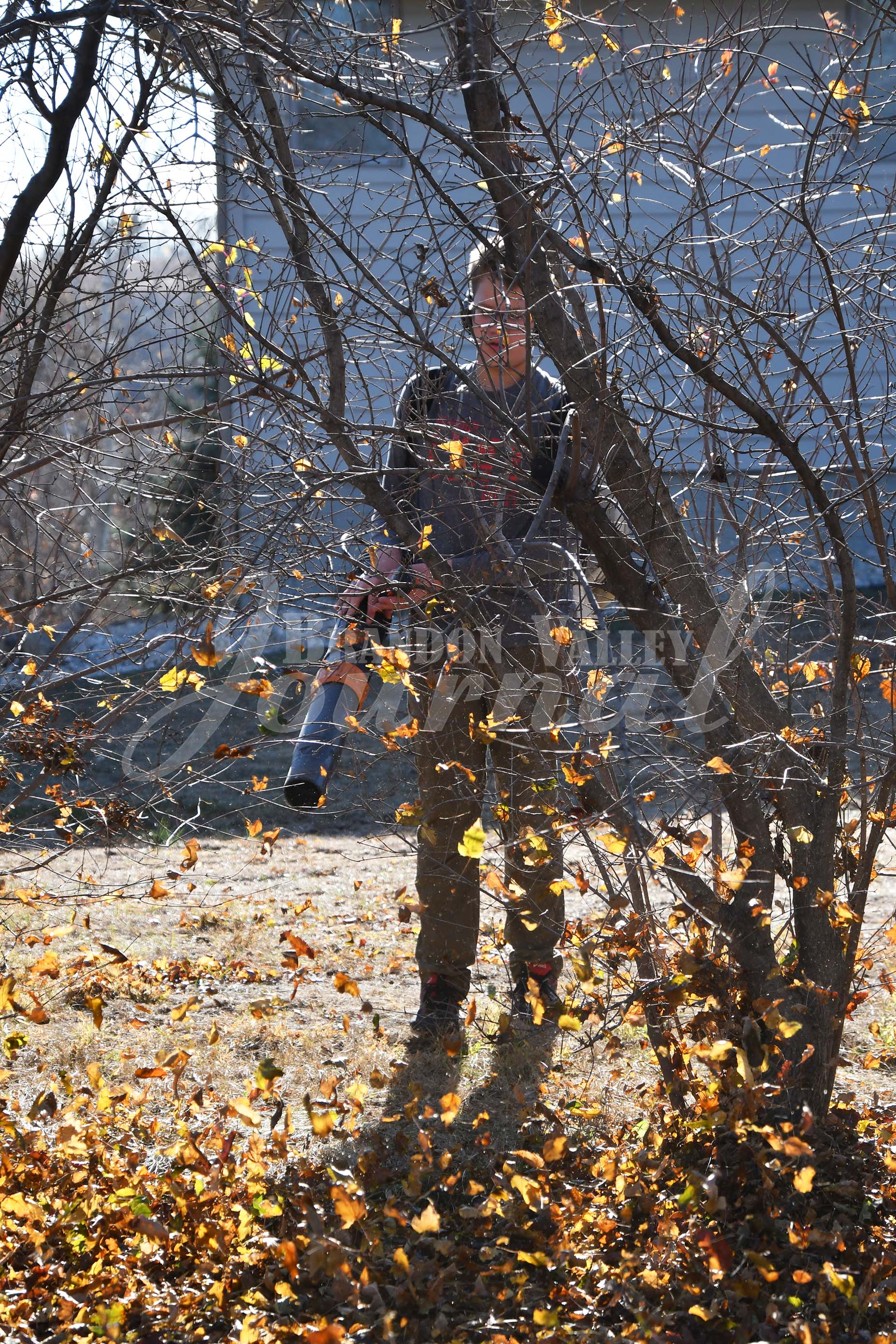 Rake the Town B Brandon Valley Journal